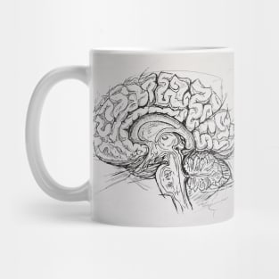 Brain Mug